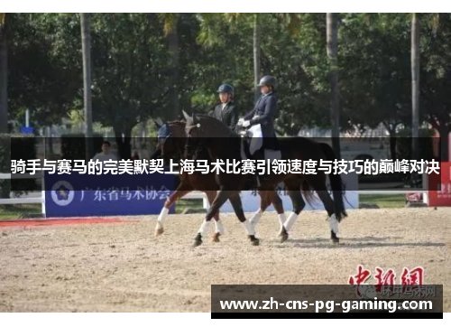 骑手与赛马的完美默契上海马术比赛引领速度与技巧的巅峰对决